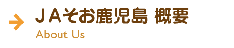 ＪＡそお鹿児島について